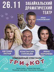 Три плюс кот