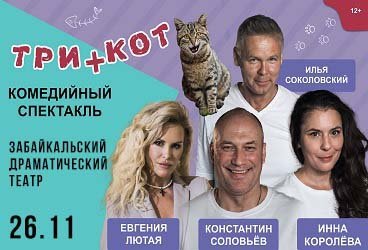 Три плюс кот